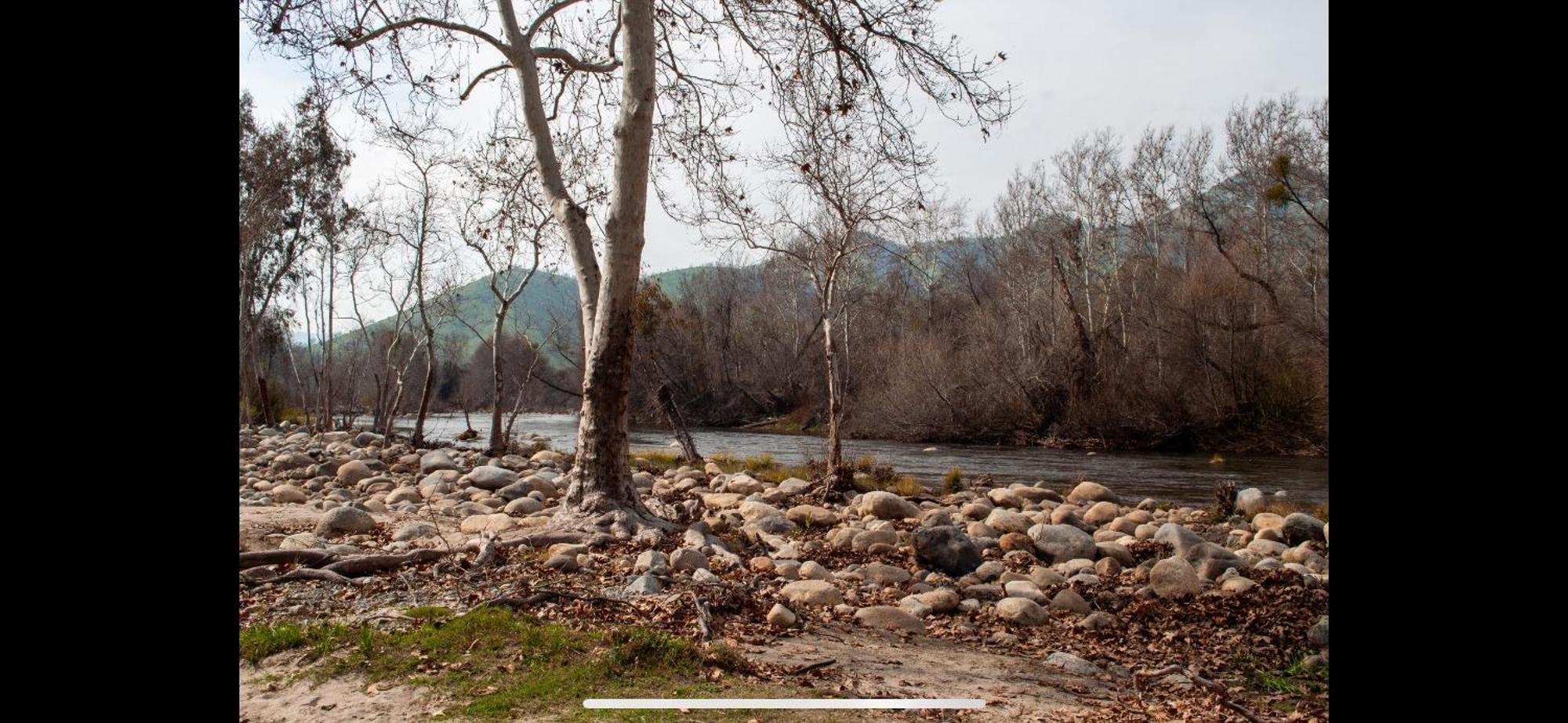 Sequoia River Front Cabins Три-Риверс Экстерьер фото