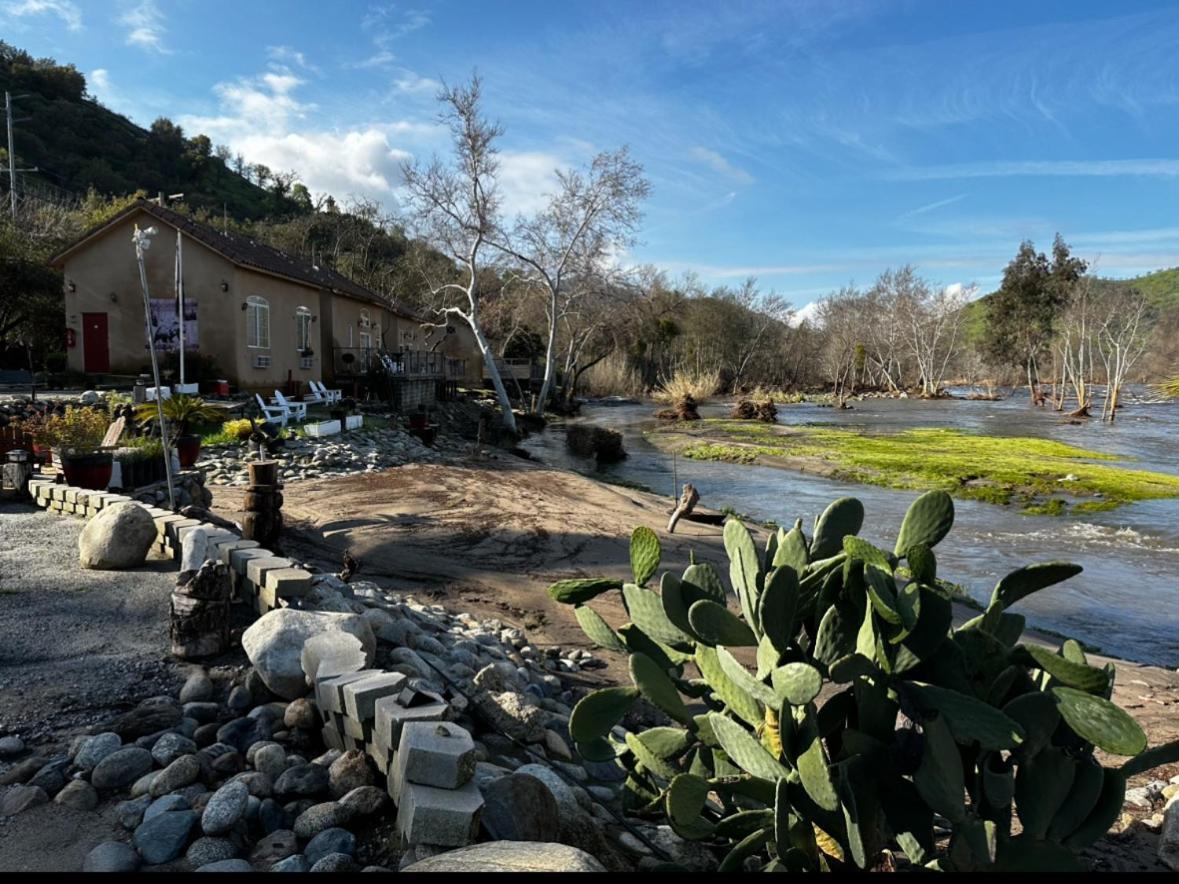 Sequoia River Front Cabins Три-Риверс Экстерьер фото