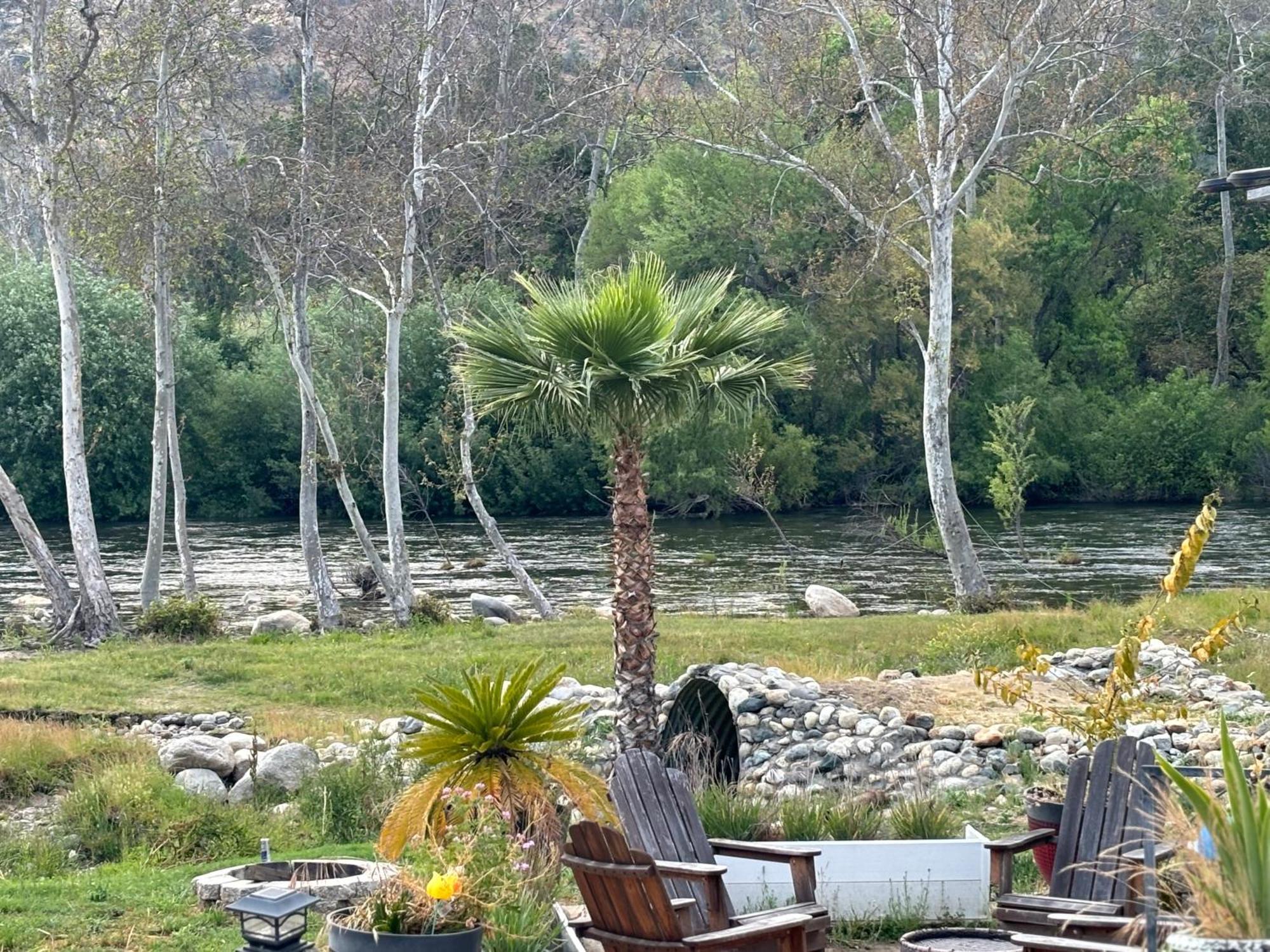 Sequoia River Front Cabins Три-Риверс Экстерьер фото